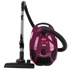 Bissell-Zing-model-review