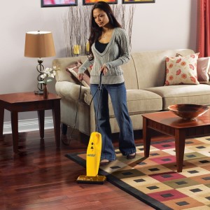 Eureka-Easy-Clean-169B-Model-review